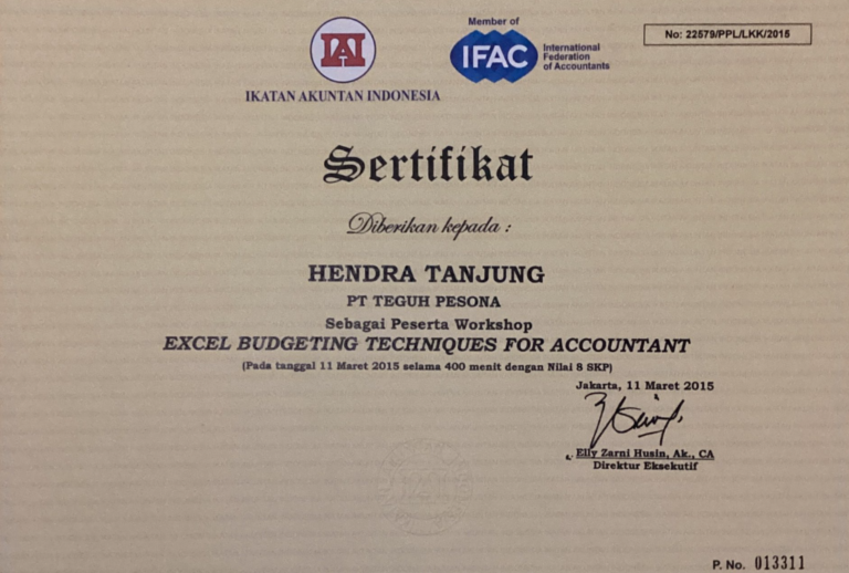 2015 excel budgeting